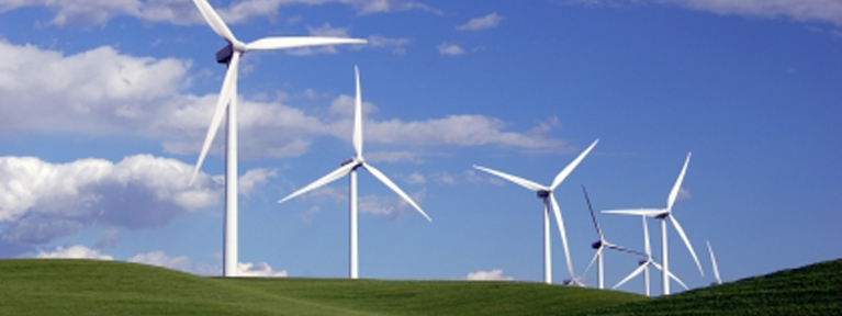 Environmental Policy Environmental Policy
